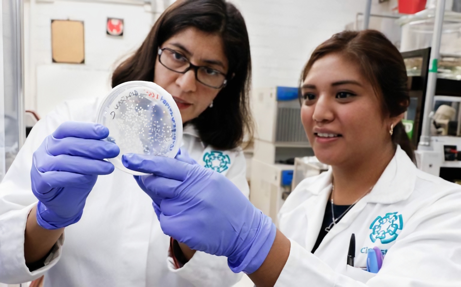 Proyectos perdidos y alumnos sin aprender